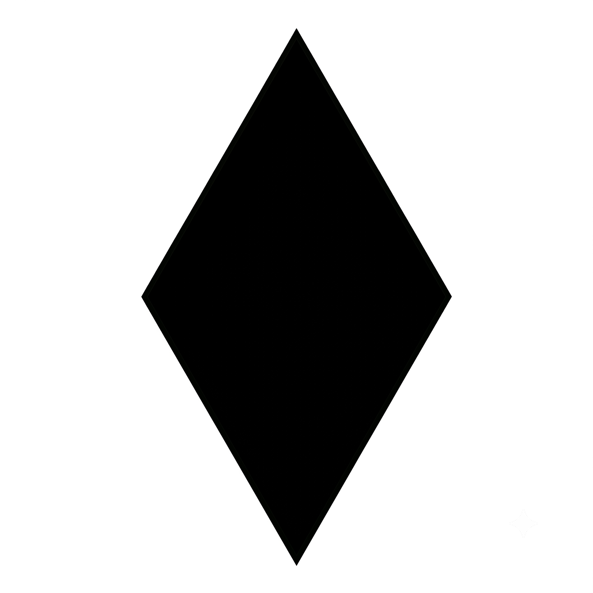 Black Diamond Company LLC